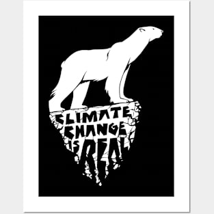 Climate Change Is Real Posters and Art